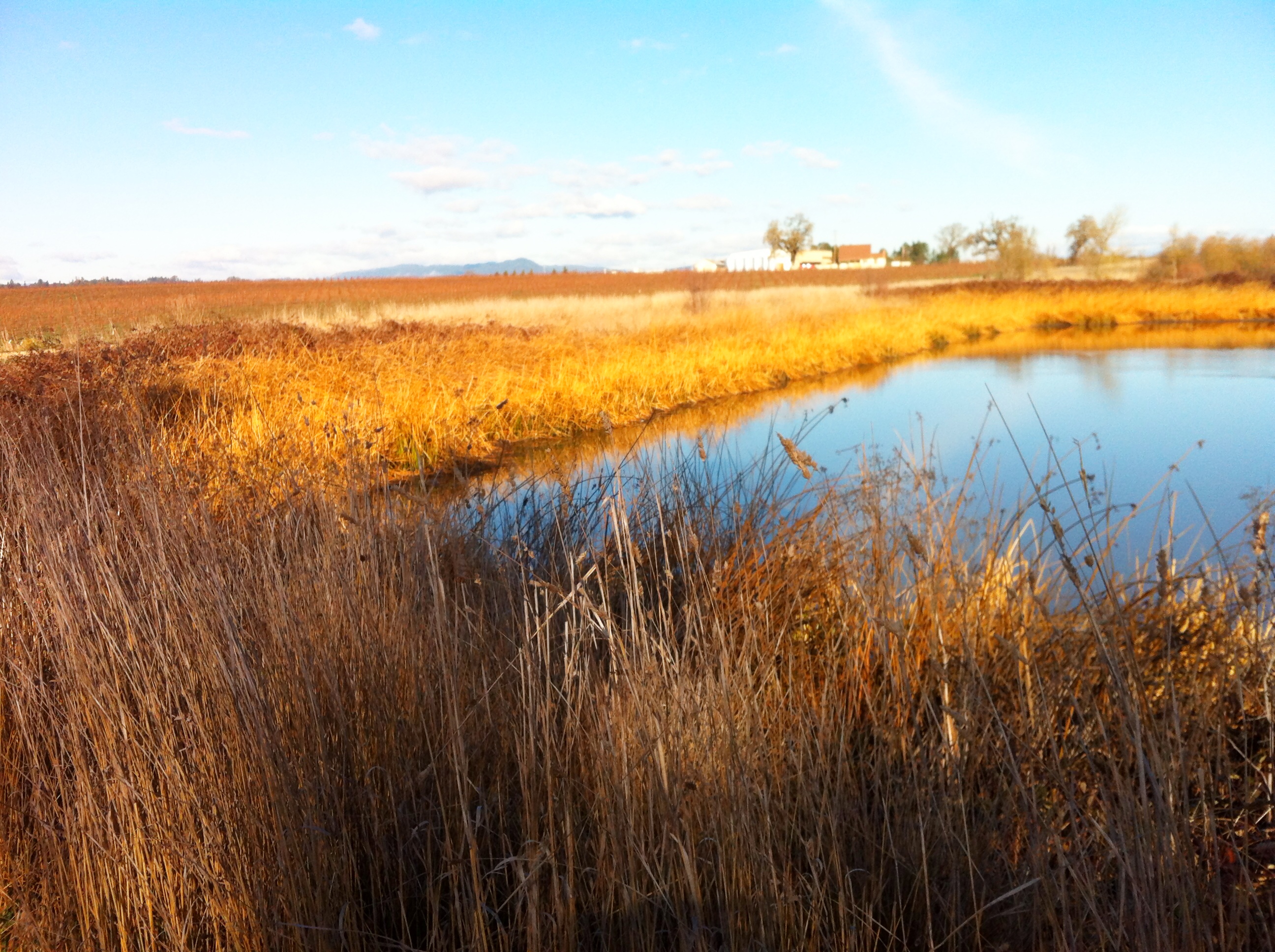 4/28: 10 Year Anniversary of the Laguna de Santa Rosa as a Wetland of International Importance