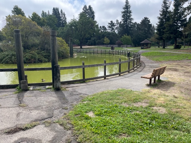 9/8: Changes coming to the Libby Park Duck Pond