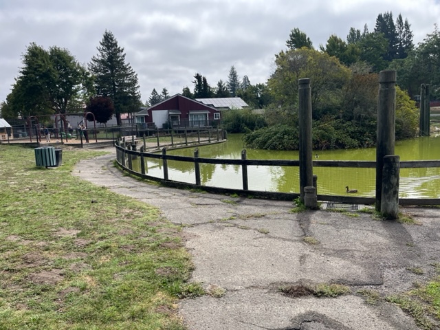 9/15: Libby Park Duck Pond Fence Discussion to Return to Planning Commission for Review