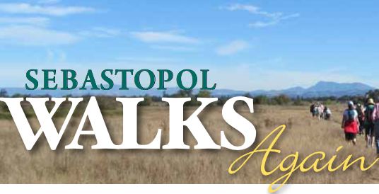 Sebastopol Walks 2019 Schedule
