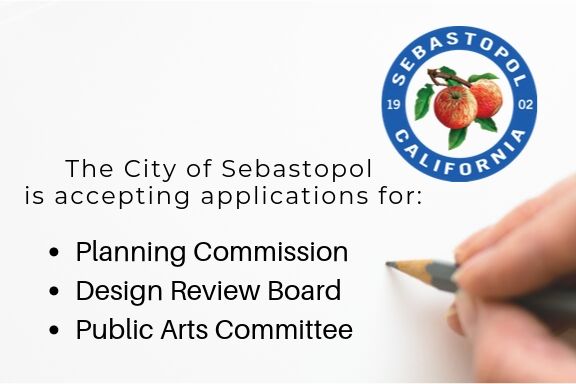Openings on the Planning Commission, Design Review Board and Public Arts Committee