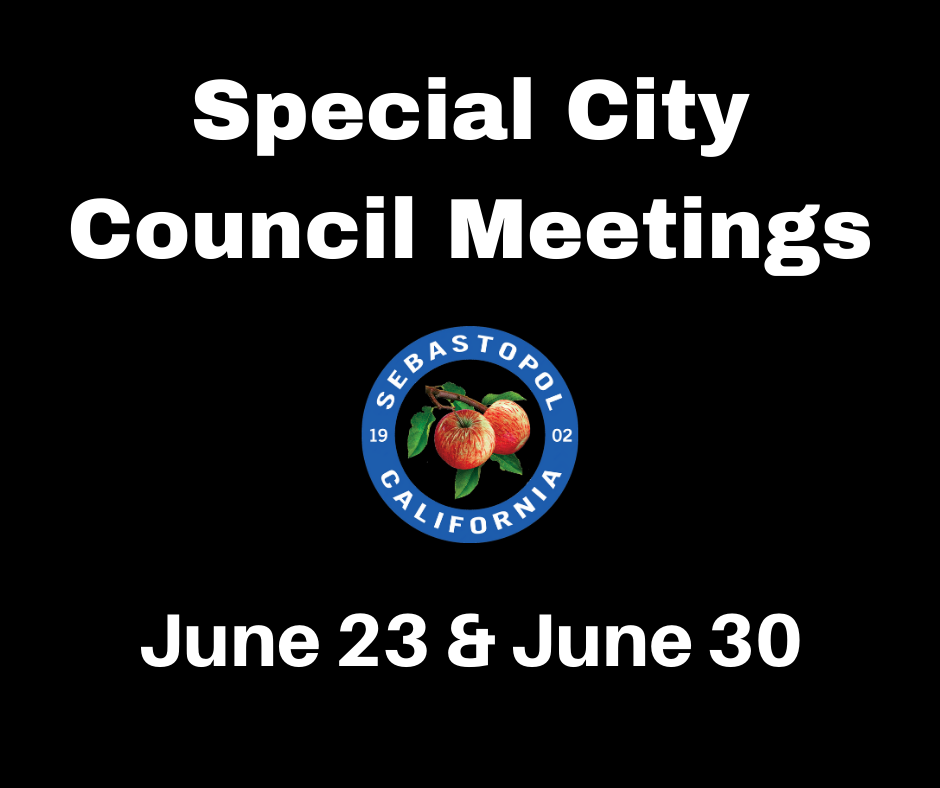 6/19: Special Meetings June 23 & 30 to Plan Process to Address Community Public Safety Concerns