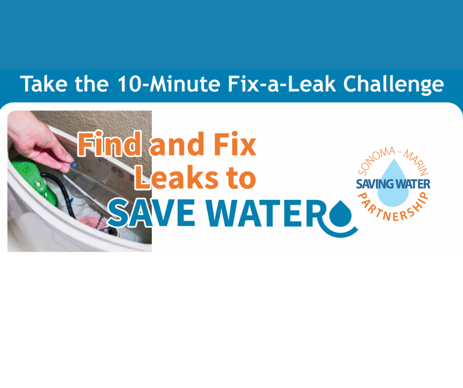 3/21: Take the 10-Minute Fix-a-Leak Challenge