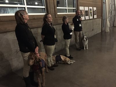 Pictured (L-R): Karen and Star, Pam and Rudy, Michelle and Nadia, Pat and Hawke