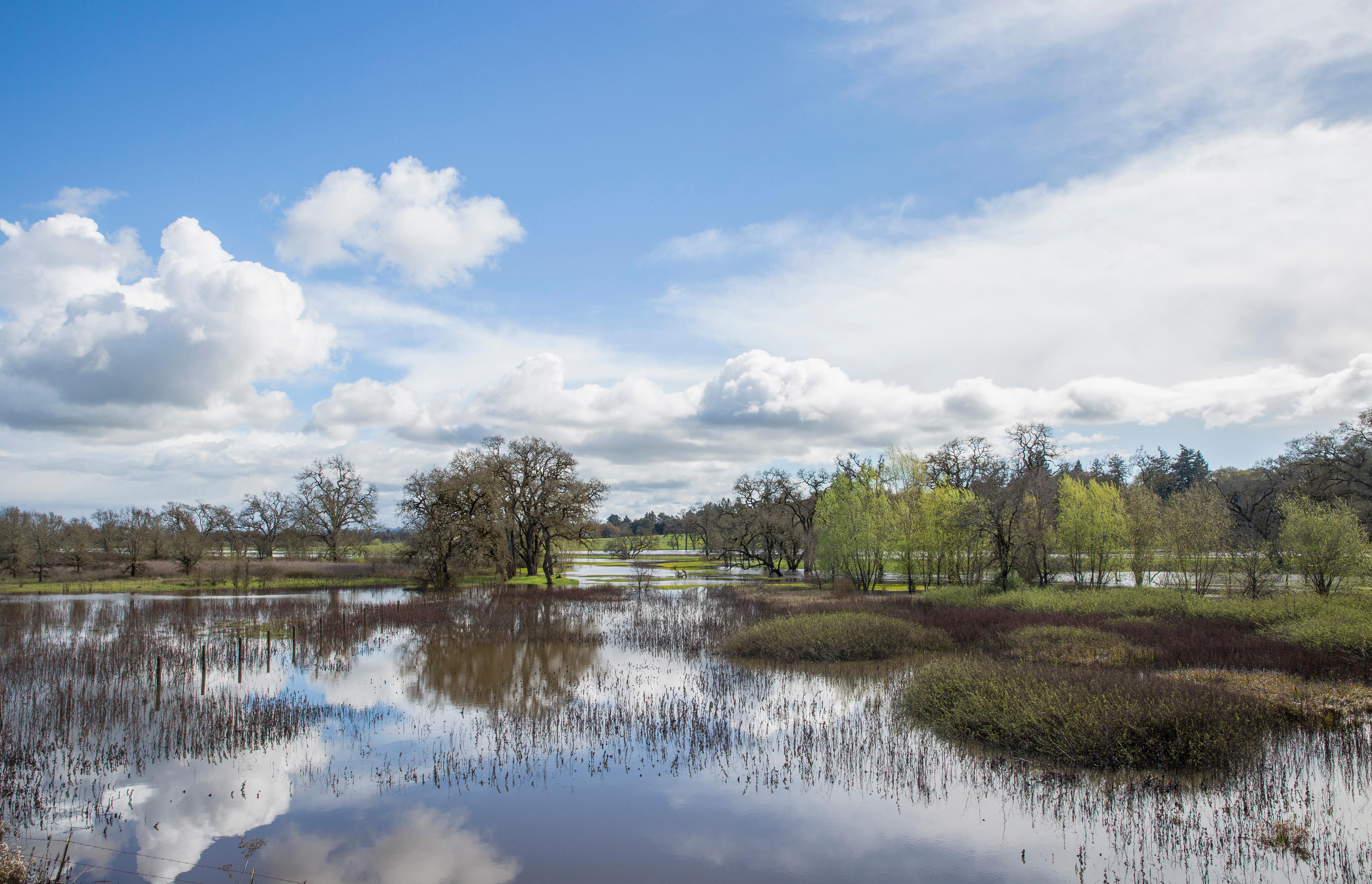 Sebastopol Flood Recovery Meeting