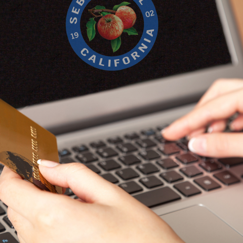Business License Fees Can Now Be Paid Online